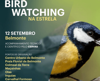Cartaz de Observação de aves na Serra da Estrela em Ecomuseu do Zêzere