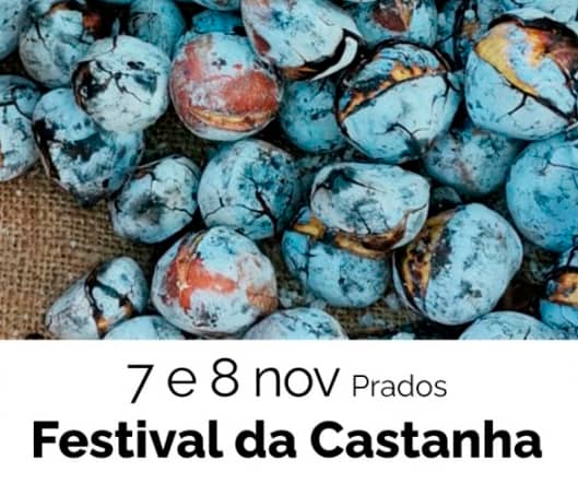 Cartaz de Festival da Castanha em Prados – Celorico da Beira