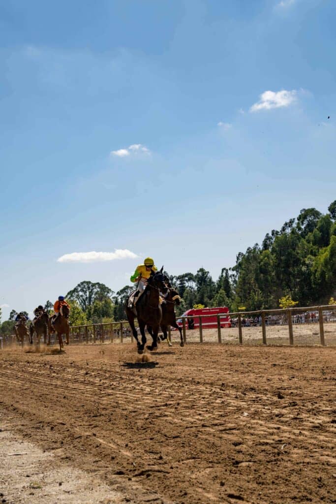 Cartaz de Última jornada do Campeonato Nacional de Corridas de Cavalos em Hipódromo Municipal de Celorico de Basto